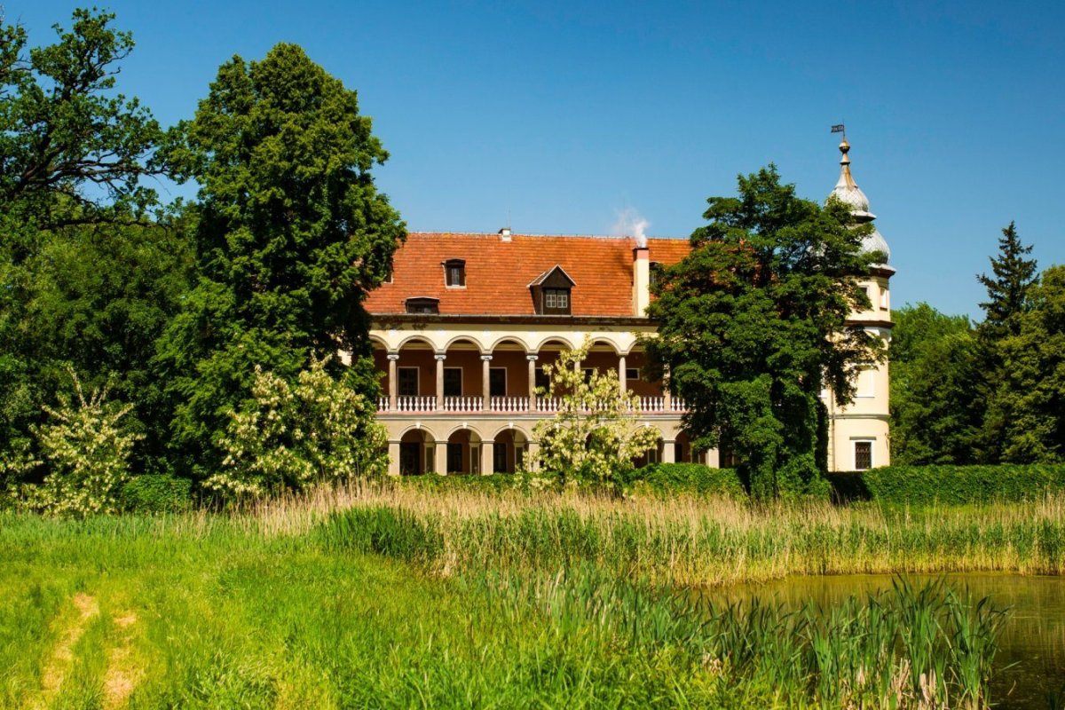 Konferencje w zgodzie z naturą: odkryj urok Pałacu Krobielowice