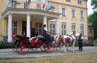 Pałace - Pałac Witaszyce - obiekt - zdjęcie 2 