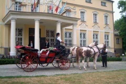 Pałace - Pałac Witaszyce - zdjęcie 2