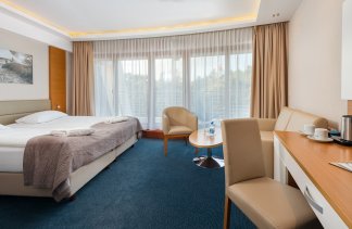 Hotele 4**** - ****Hotel Dom Zdrojowy Resort & SPA - obiekt - zdjęcie 3 