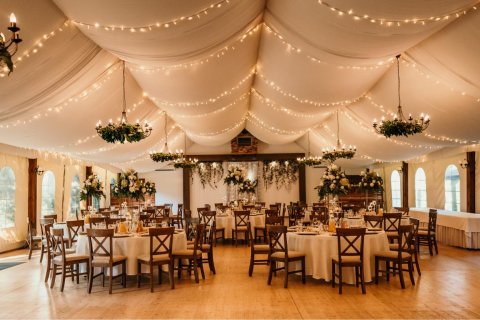 Pałace - Pałac Szczepowice - zdjęcie 2