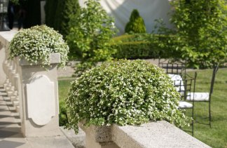 Pałace - Pałac Szczepowice - obiekt - zdjęcie 11 