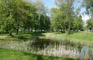 Pałace - Pałac Szczepowice - obiekt - zdjęcie 10 