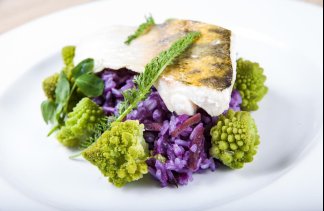 Hotele 3*** - Hotel Zatoka - obiekt - zdjęcie 17 