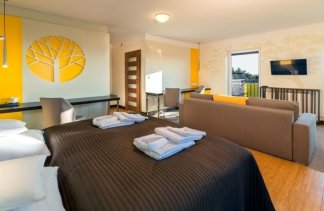 Hotele SPA - Villa Buki Pokoje & SPA - obiekt - zdjęcie 7 