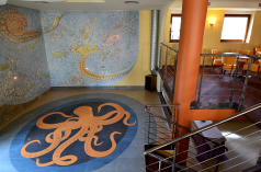 nad morzem - Dom Wypoczynkowy OSKAR - zdjęcie 3