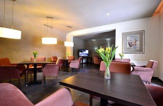 Hotele SPA - Willa Zameczek - obiekt - zdjęcie 8 