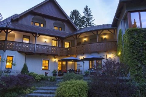 Hotele SPA - Willa Zameczek - zdjęcie 2