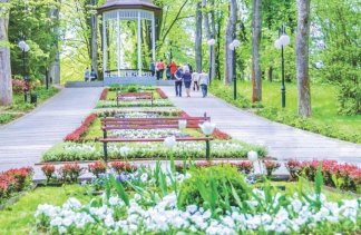 Pensjonat - Villa Alina MEDICAL & SPA - obiekt - zdjęcie 22 