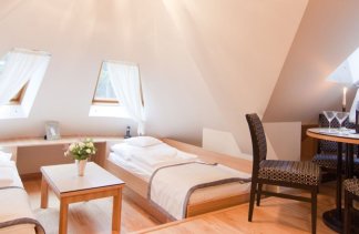 Pensjonat - Villa Alina MEDICAL & SPA - obiekt - zdjęcie 19 