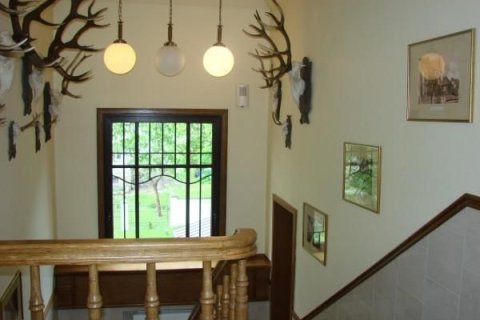 w górach - Jasny Dwór - zdjęcie 2