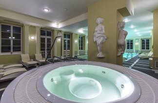 Hotele 4**** - Hotel Pałac Alexandrinum**** - obiekt - zdjęcie 51 