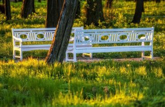 Hotele 4**** - Hotel Pałac Alexandrinum**** - obiekt - zdjęcie 49 