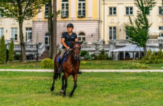 Hotele 4**** - Hotel Pałac Alexandrinum**** - obiekt - zdjęcie 26 