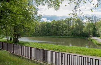 Hotele ** - Hotel w Dobieszkowie - obiekt - zdjęcie 30 