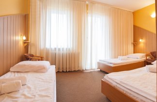 Hotele ** - Hotel w Dobieszkowie - Pokoje - zdjęcie 10 