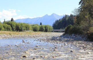 Pensjonat - Pensjonat Skalny Brzeg - obiekt - zdjęcie 18 