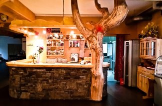 Pensjonat - Pensjonat Skalny Brzeg - obiekt - zdjęcie 7 