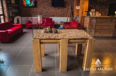 Hotele SPA - Zalesie Mazury Active Spa - zdjęcie 4