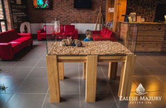 Hotele SPA - Zalesie Mazury Active Spa - obiekt - zdjęcie 4 