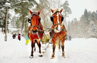 Hotele SPA - Zalesie Mazury Active Spa - obiekt - zdjęcie 31 