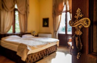 Pałace - Pałac Wąsowo - obiekt - zdjęcie 21 