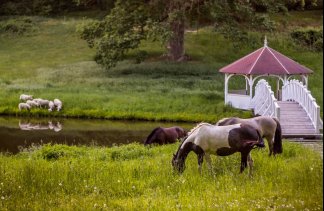 Pałace - Pałac Wąsowo - obiekt - zdjęcie 9 