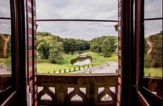 Pałace - Pałac Wąsowo - obiekt - zdjęcie 14 