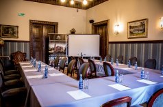 Pałace - Pałac Wąsowo - zdjęcie 3