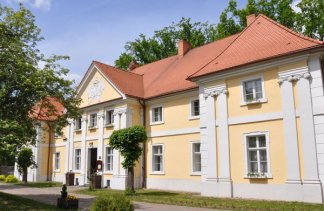 Pałace - Pałac Wąsowo - obiekt - zdjęcie 15 