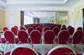 Pałace - Pałac Wąsowo - obiekt - zdjęcie 2 