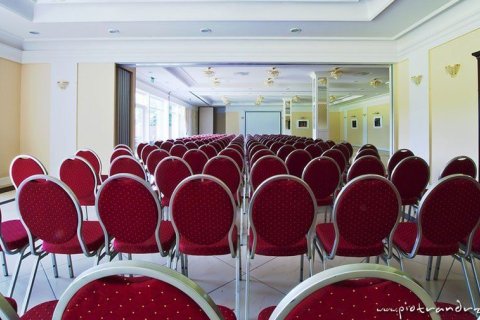 Pałace - Pałac Wąsowo - zdjęcie 2