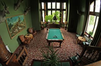 Pałace - Pałac Wąsowo - obiekt - zdjęcie 13 