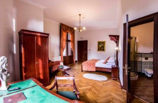 Pałace - Pałac Wąsowo - Pokoje - zdjęcie 3 