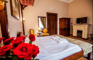 Pałace - Pałac Wąsowo - Pokoje - zdjęcie 5 