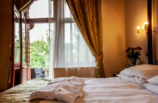 Pałace - Pałac Wąsowo - Pokoje - zdjęcie 6 