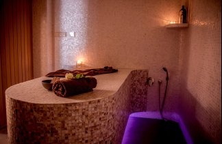 Pałace - Pałac Wąsowo - service - zdjęcie 5 