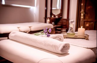 Pałace - Pałac Wąsowo - service - zdjęcie 3 