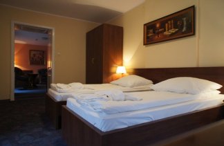 Pałace - Pałac w Pakosławiu - obiekt - zdjęcie 16 