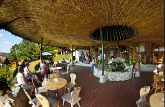 Ośrodki konferencyjne - Ośrodek wypoczynkowy Zielona Polana - obiekt - zdjęcie 15 