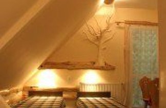 Ośrodki konferencyjne - Ośrodek wypoczynkowy Zielona Polana - obiekt - zdjęcie 10 