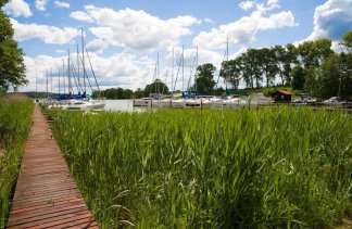 Ośrodki konferencyjne - Zatoka Kal - obiekt - zdjęcie 8 