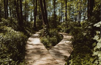 Hotele 4**** - Zamek Janów Podlaski - obiekt - zdjęcie 5 