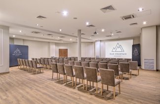 Obiekty konferencyjne - Blue Mountain Resort - obiekt - zdjęcie 5 