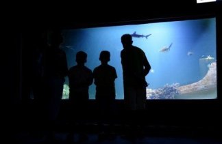 Ośrodki konferencyjne - Świętokrzyska Polana - Medical Resort - obiekt - zdjęcie 12 