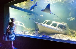 Ośrodki konferencyjne - Świętokrzyska Polana - Medical Resort - obiekt - zdjęcie 11 