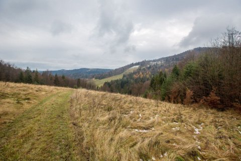 Nowy - Park Jaworzyna - zdjęcie 2