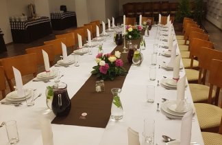 Hotele konferencyjne - Villa Vrest - obiekt - zdjęcie 9 