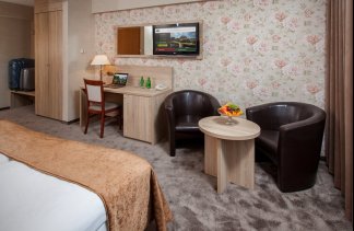 Hotele 4**** - Centrum Hotelowo-Konferencyjne Witek - obiekt - zdjęcie 20 