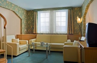 Hotele 4**** - Centrum Hotelowo-Konferencyjne Witek - obiekt - zdjęcie 27 